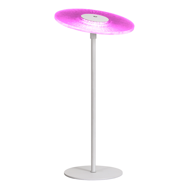 RGB အရိပ်နှင့်အတူ ခေတ်မီ LED စားပွဲတင်မီးအိမ်